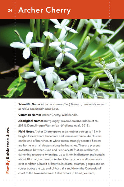 Kimberley Bush Food: Edible Plants of the Kimberley Region of Western Australia