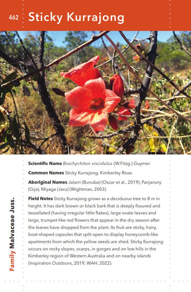 Kimberley Bush Food: Edible Plants of the Kimberley Region of Western Australia