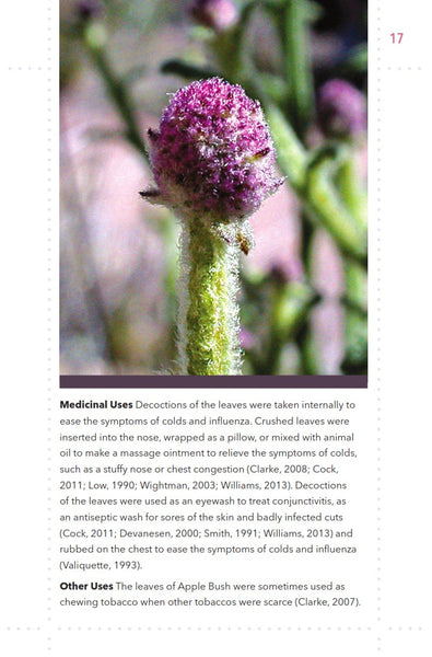 Kimberley Bush Medicine: Medicinal Plants of the Kimberley Region of Western Australia