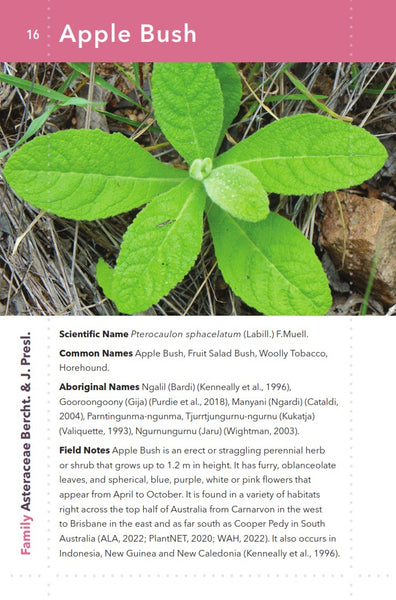 Kimberley Bush Medicine: Medicinal Plants of the Kimberley Region of Western Australia