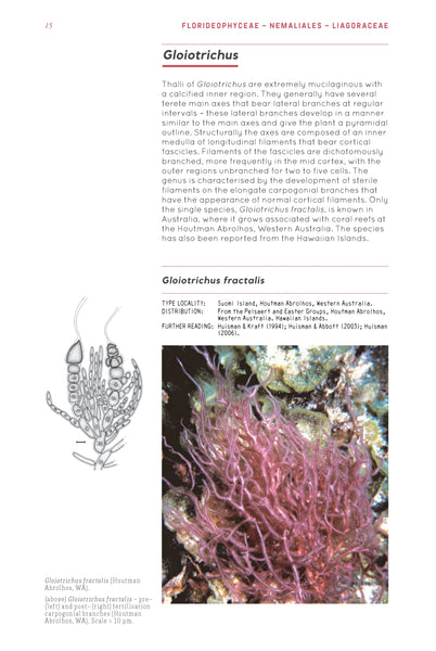 Page 15 from 'Marine Plants of Australia.' The page shows information about Gloiotrichus along with a diagram sketch and photograph.