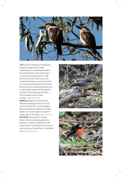 Naturalist on the Bibbulmun: A walking companion