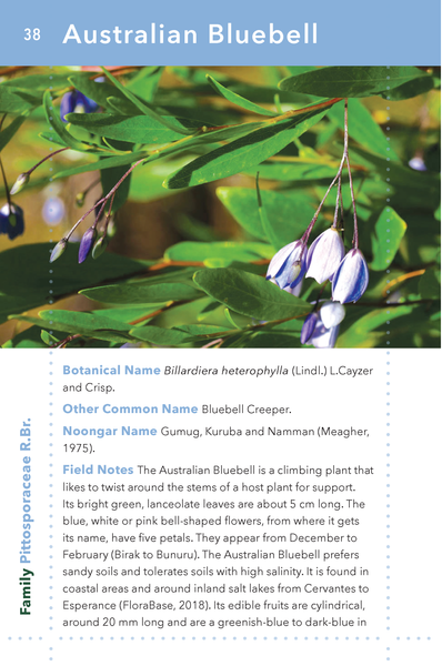 Noongar Bush Tucker: Bush Food Plants and Fungi of the South-West of Western Australia