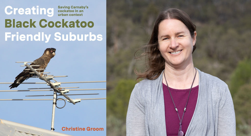 Understanding the iconic Carnaby’s Cockatoo: Christine Groom discusses the motivation and research behind her new non-fiction book, Creating Black Cockatoo Friendly Suburbs