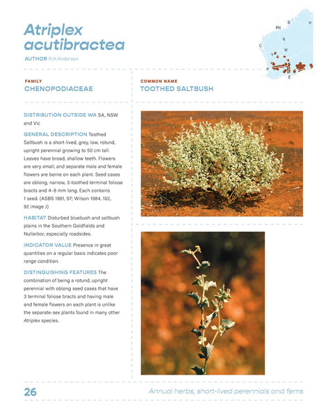 Arid Shrubland Plants
