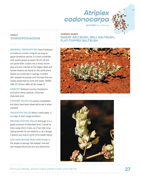 Arid Shrubland Plants