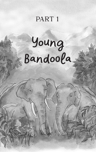 Bandoola