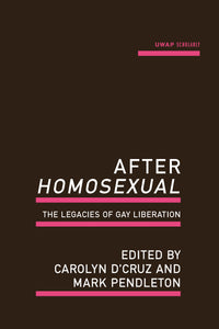 After Homosexual: The legacies of gay liberation