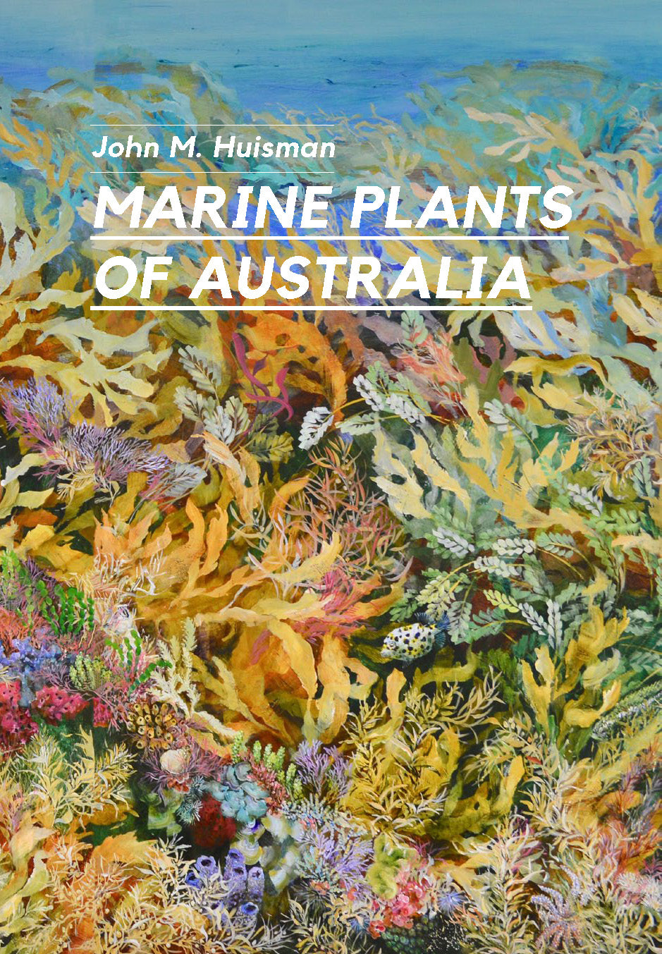 Marine Plants of Australia: Second Edition