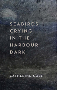 Seabirds Crying in the Harbour Dark