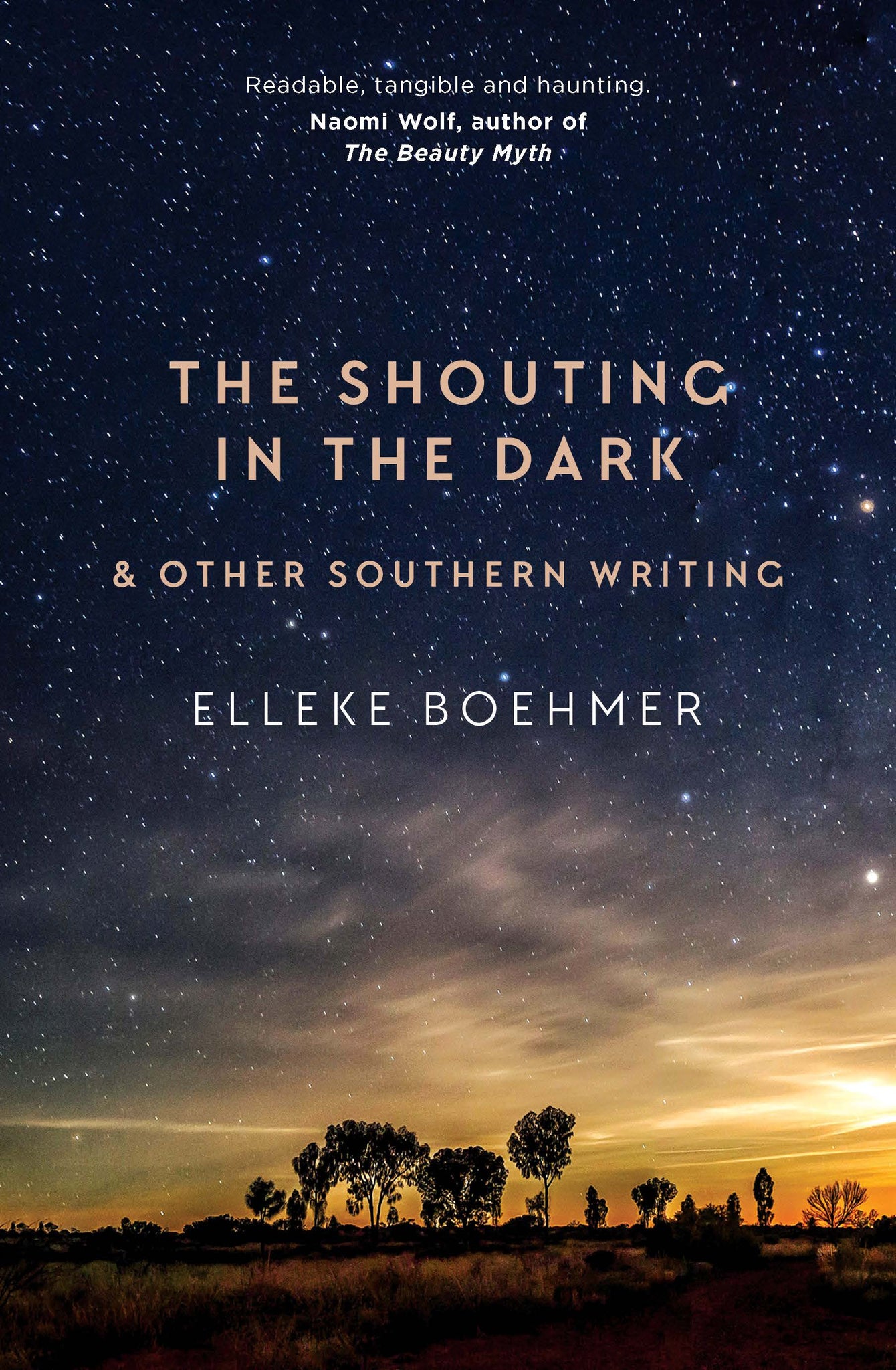 The Shouting in the Dark & other southern stories
